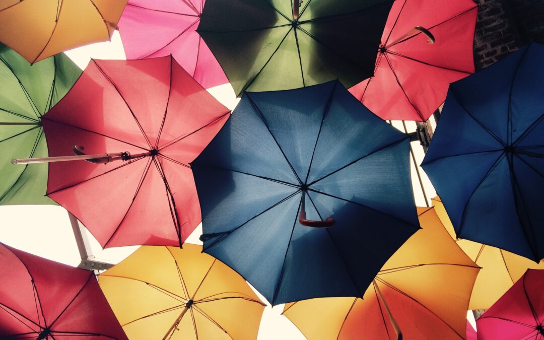 Whole Life Insurance Explained